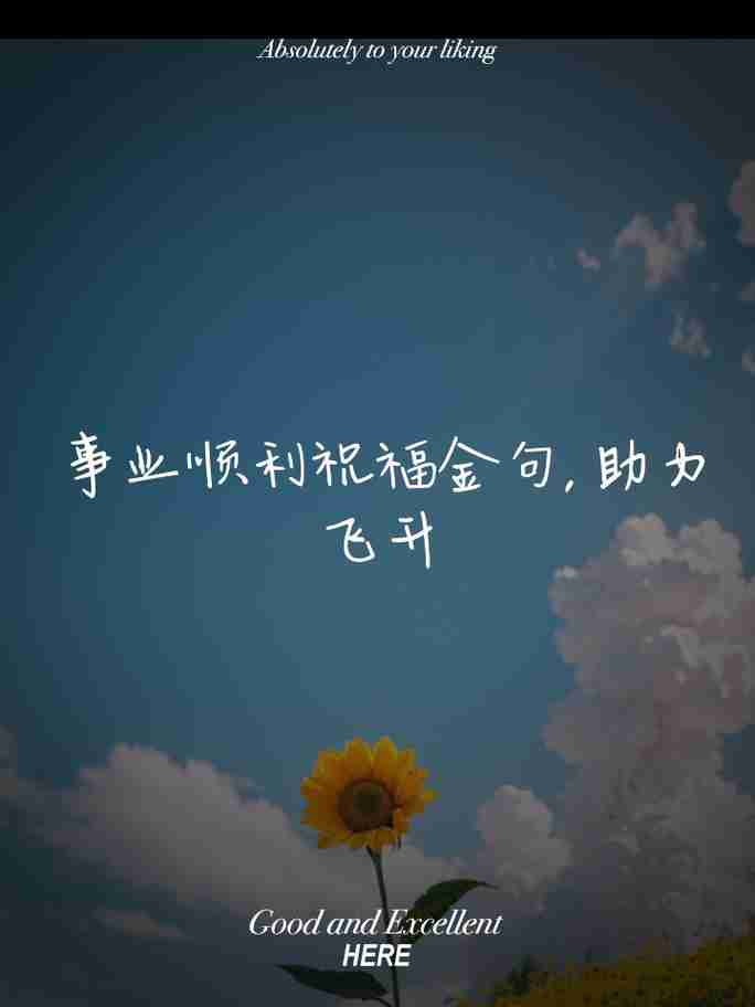 拥握幸运技巧，开启事业腾飞新征程！，抓住机遇，成就梦想，成功人士的智慧与策略分享