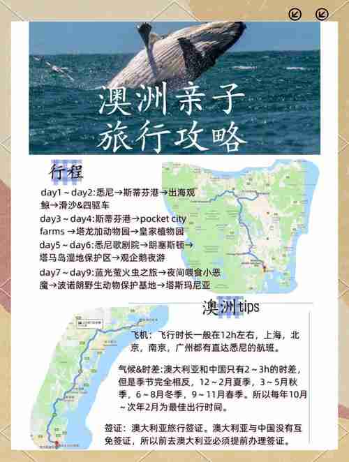 初到澳洲必看!20个生活技巧帮你避开90%的坑