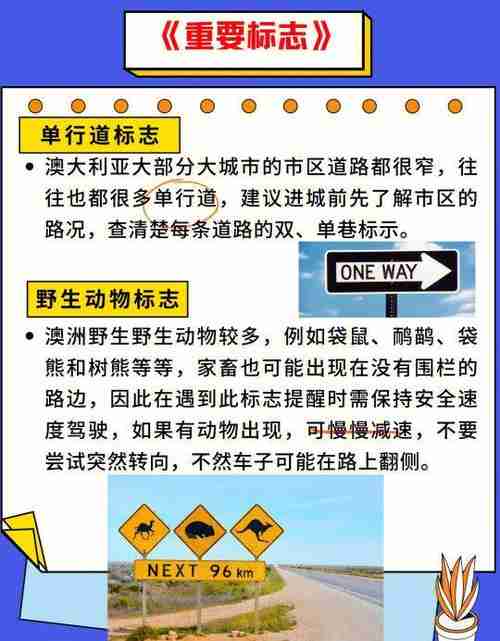 澳洲5技巧深度解读,新手避坑指南,实战策略全解析